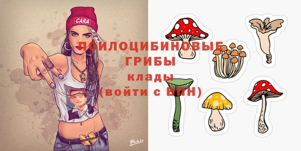 молекула духа Алексин