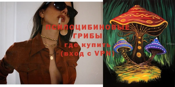 спиды Алзамай