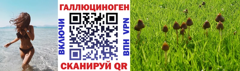 цена наркотик  Родники  Галлюциногенные грибы ЛСД 