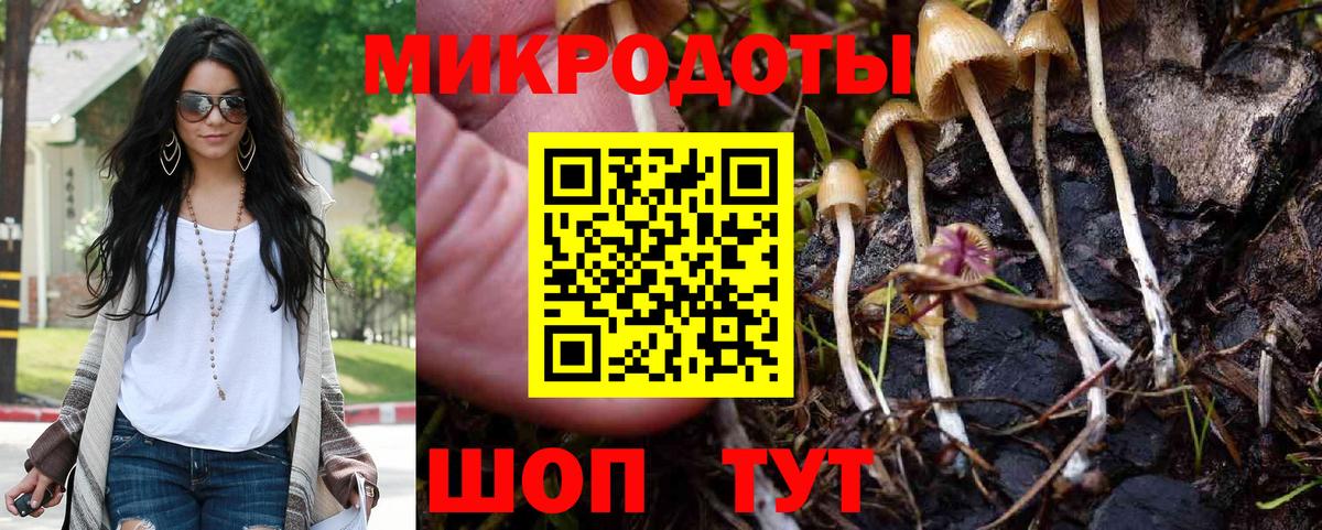 Псилоцибиновые грибы ЛСД Родники